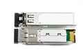 Optical gigabit SFP module for network switch isolated Royalty Free Stock Photo