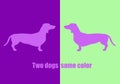 Optical illusion: both dogs have the same color. Illustration