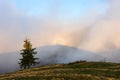 Optical illusion Brocken Spectre in the meadow.