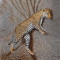 Optical illusion: a leopard or tiger blending into a background Royalty Free Stock Photo