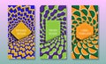 Optical illusion packaging design. Abstract moving backgrounds with frames in pockets. Set of colorful labels templates