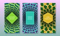 Optical illusion packaging design. Moving colorful backgrounds with frames for text. Set of abstract labels templates