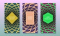 Optical illusion packaging design. Moving colorful backgrounds with frames for text. Set of abstract labels templates