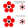 Optical illusion with the sizes of circles.