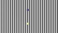 Optical illusion, visual phenomena