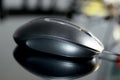 One optical mouse in black Royalty Free Stock Photo