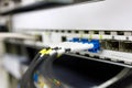Optical patch cords are inserted into the switch in the server room Royalty Free Stock Photo