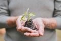 Optimise your health, optimise your health. a group of unrecognisable senior man holding a plant growing out of soil. Royalty Free Stock Photo