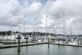 Opua marina at the Bay of Islands New Zealand