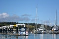 Opua marina in The Bay of Islands New Zealand