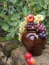 Opulence of autumn fruits in a terracotta jar Royalty Free Stock Photo