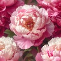 Opulent Peony Tapestry Pattern with Golden Stamens Royalty Free Stock Photo
