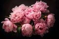 Opulent Pink peonies. Generate Ai