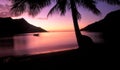 Opunohu Bay Sunset Moorea Tahiti Royalty Free Stock Photo