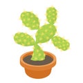 Opuntia cactus icon, cartoon style Royalty Free Stock Photo