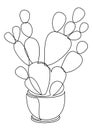 Opuntia cactus. Indoor potted plant in modern trendy single line style. Solid line, outline for decor, posters, stickers, logo. Ve