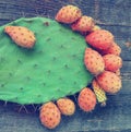 Prickly and delicious. Opuntia cactus with large flat pads and red thorny edible fruits. Cactaceae. Prickly pears fruit Royalty Free Stock Photo