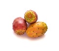 Opuntia ficus-indica closeup. Prickly pear cactus fruit ripe isolated on white background.