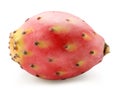 Opuntia fruit or prickly pear cactus isolated on white background. File contains clipping path Royalty Free Stock Photo
