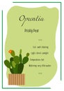 Opuntia. Prickly pear. Indoor plant, potted plant. Care info card, banner. House plant care.