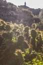 Opuntia stricta cactus backlight with El Rompido lighthouse at b Royalty Free Stock Photo