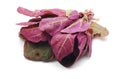 Orach Royalty Free Stock Photo