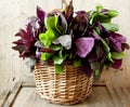 Orach Basket Royalty Free Stock Photo