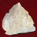 Oracle bone inscription