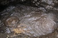 Orakei Korako hidden geothermal area - New Zealand: Close up of boiling hot thermal bubbling mud pot