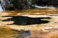 Orakei Korako hidden geothermal park: View on hot pool with yellow algae carpet Royalty Free Stock Photo