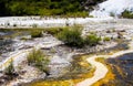 Close up of colorful rainbow sinter terrace covered with yellow and white microbial mats Royalty Free Stock Photo