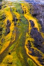 Close up of colorful rainbow sinter terrace covered with yellow and green microbial mats Royalty Free Stock Photo