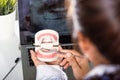 Dentist female holding professional stomatology tool and pointing healthy tooth model and explaining patient Royalty Free Stock Photo