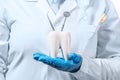 Oral dental hygiene. Healthy white tooth model and dentist mirror with explorer probe instrument in dentist hands with gloves