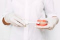Oral hygiene. Close up hand dentists are demonstrating how to brush their teeth correctly. Dental prosthesis in the hands of the Royalty Free Stock Photo