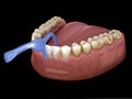 Oral hygiene: using toothpick dental floss to remove food stuck from teeth. Medically accurate dental 3D illustration