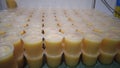 Oramge milk puding sweet yummy Royalty Free Stock Photo