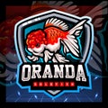 Oranda gold fish mascot. esport logo design Royalty Free Stock Photo