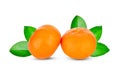 Orang fruit isolate. Orange with leaves