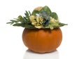 Orang green pumpkin with summerhat Royalty Free Stock Photo