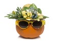 Orang green pumpkin with summerhat Royalty Free Stock Photo