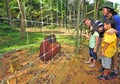 Bukit Merah Orang Utan Island Foundation Royalty Free Stock Photo