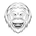 Orang-utan. Vector illustration of a sketch monkey face. Portrait wild animal in zoo