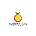 Orange Royalty Free Stock Photo