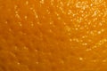 Orange abstract background, orange peel texture backdrop