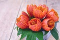 Orange abutilon flowers.