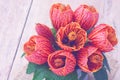 Orange abutilon flowers.