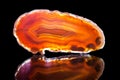 Orange agate slice, black background, healing stone and mineral Royalty Free Stock Photo