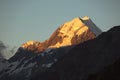 Orange Aoraki Mount Cook before sunset on Red Tarns Track, South Island of New Zealand Royalty Free Stock Photo