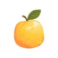 Orange Apple Funky Hand Drawn Fresh Fruit Cartoon Illustration